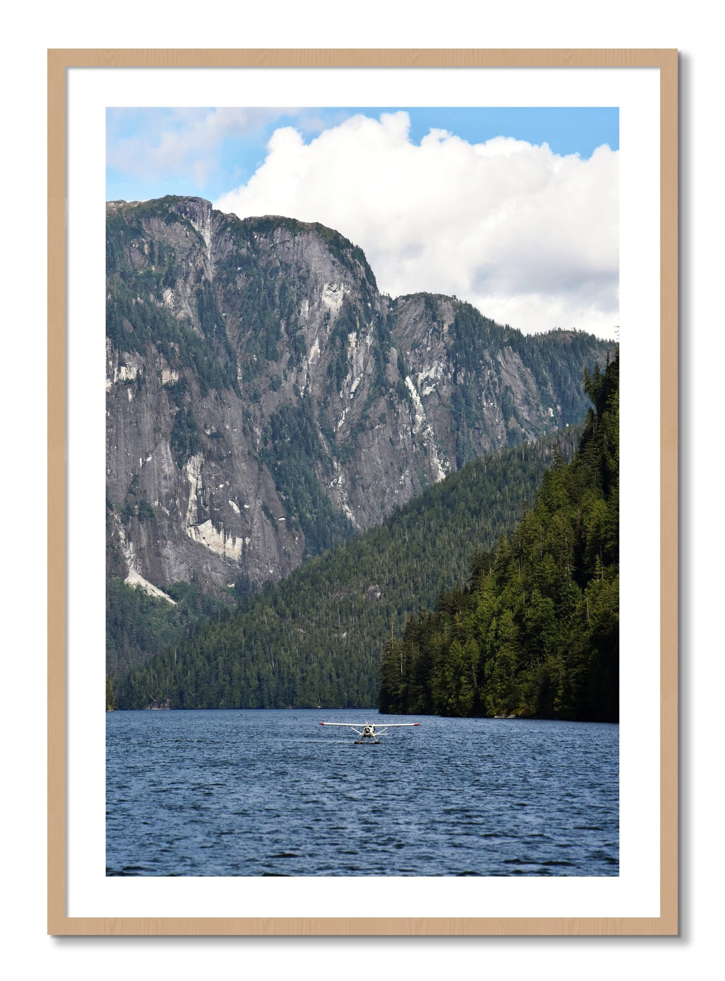 Framed photograph of Fjord Flight by Dylan Ozanich, Oak frame, Borders
