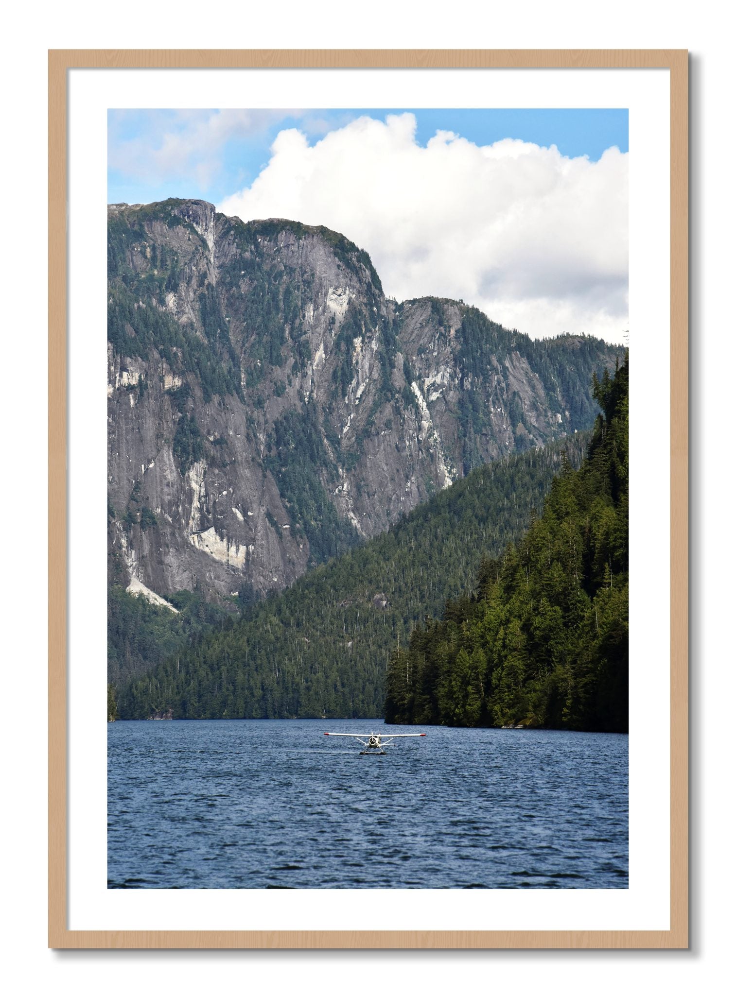 Framed photograph of Fjord Flight by Dylan Ozanich, Oak frame, Borders
