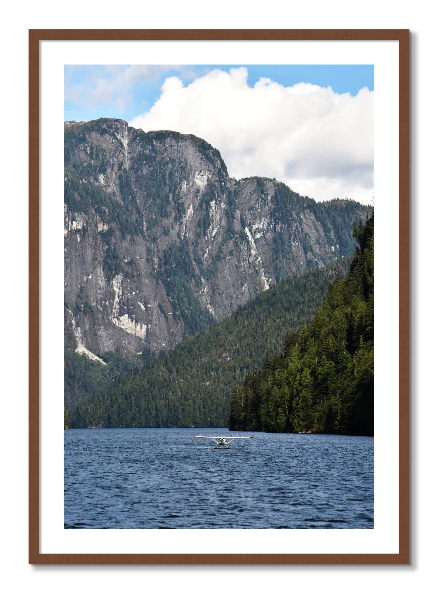 Framed photograph of Fjord Flight by Dylan Ozanich, Walnut frame, Borders