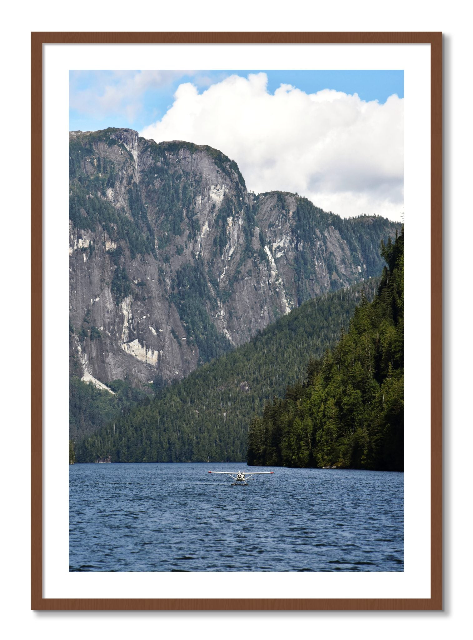 Framed photograph of Fjord Flight by Dylan Ozanich, Walnut frame, Borders