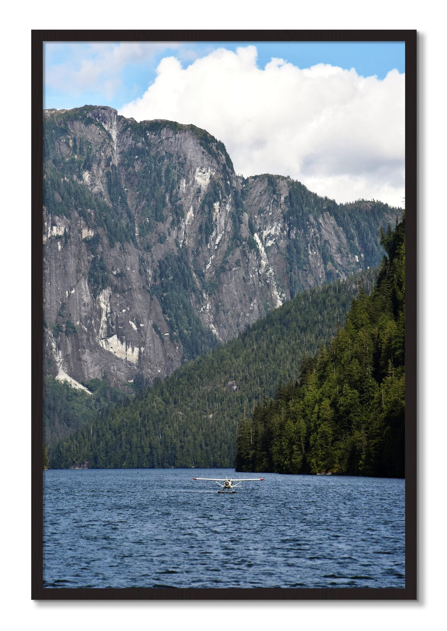 Framed photograph of Fjord Flight by Dylan Ozanich, Black Walnut frame, Full Bleed