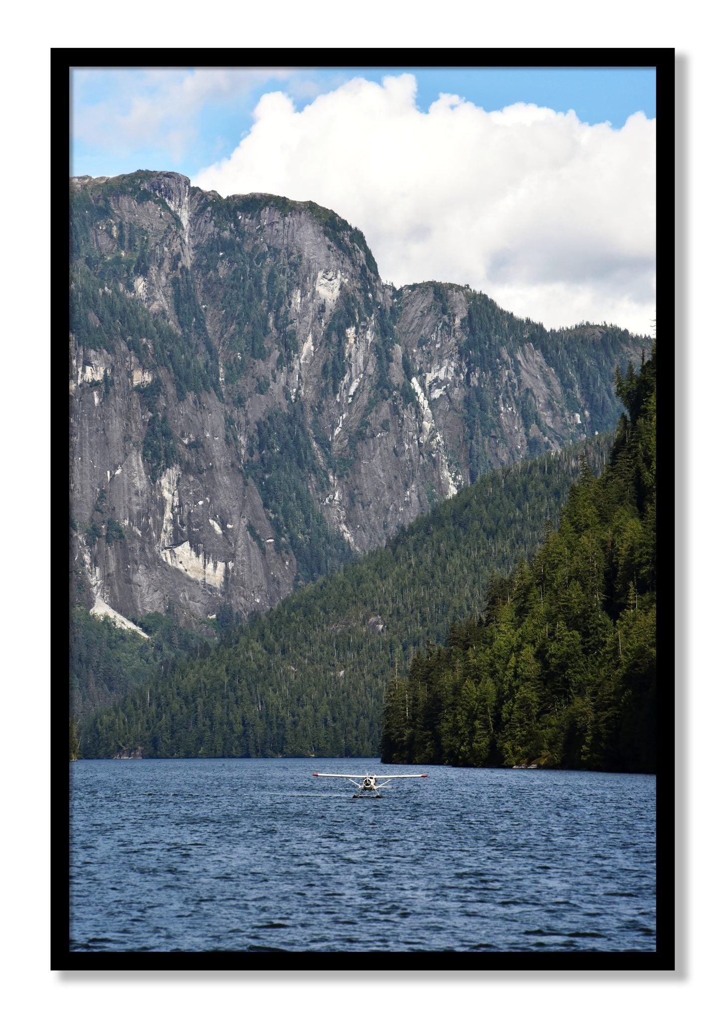 Framed photograph of Fjord Flight by Dylan Ozanich, Black frame, Full Bleed