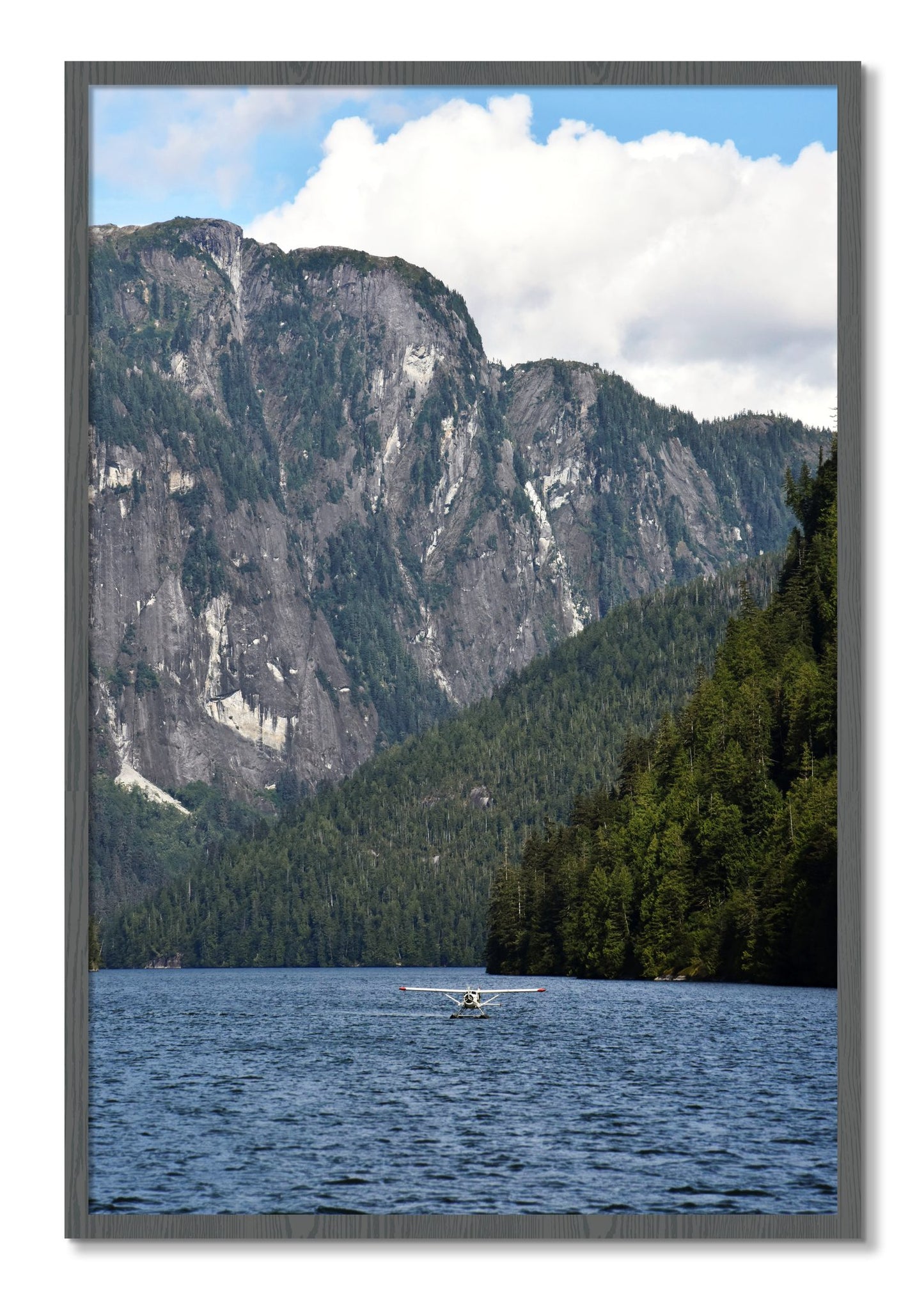 Framed photograph of Fjord Flight by Dylan Ozanich, Grey frame, Full Bleed
