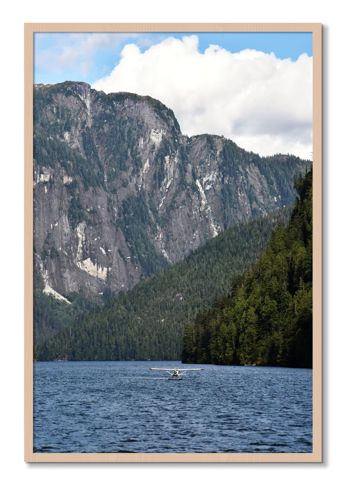 Framed photograph of Fjord Flight by Dylan Ozanich, Maple frame, Full Bleed