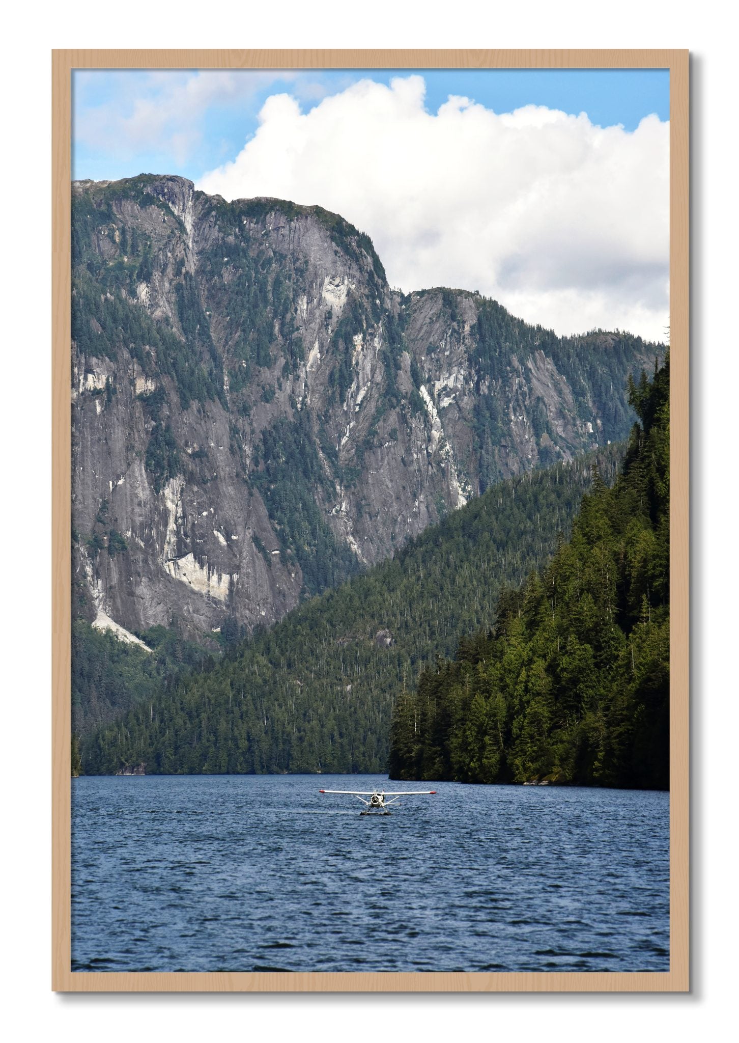 Framed photograph of Fjord Flight by Dylan Ozanich, Oak frame, Full Bleed