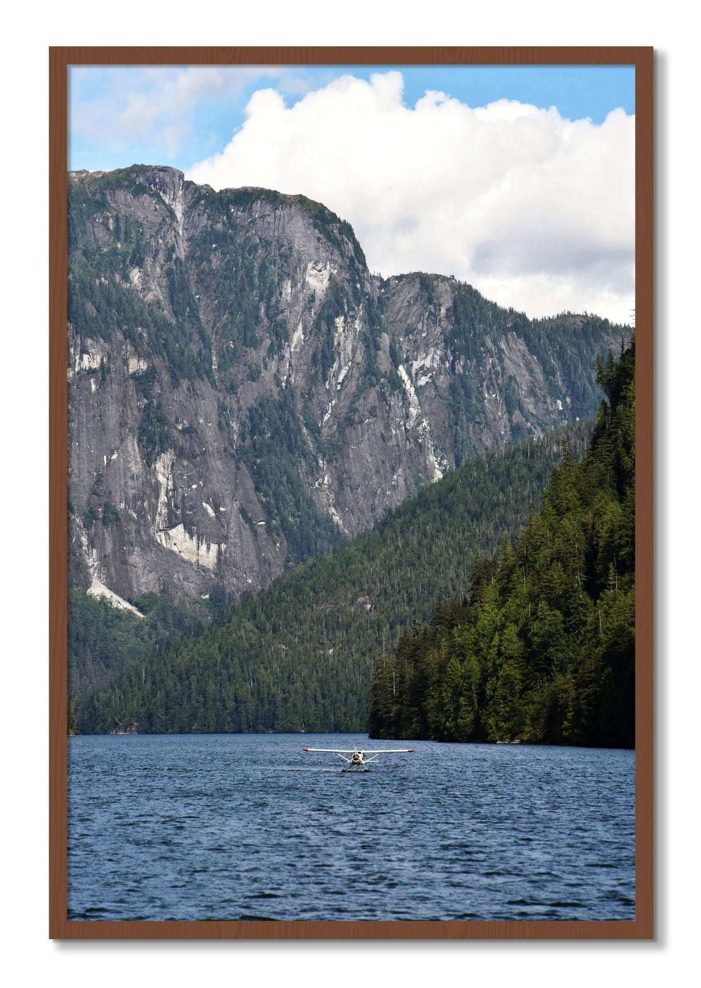 Framed photograph of Fjord Flight by Dylan Ozanich, Walnut frame, Full Bleed