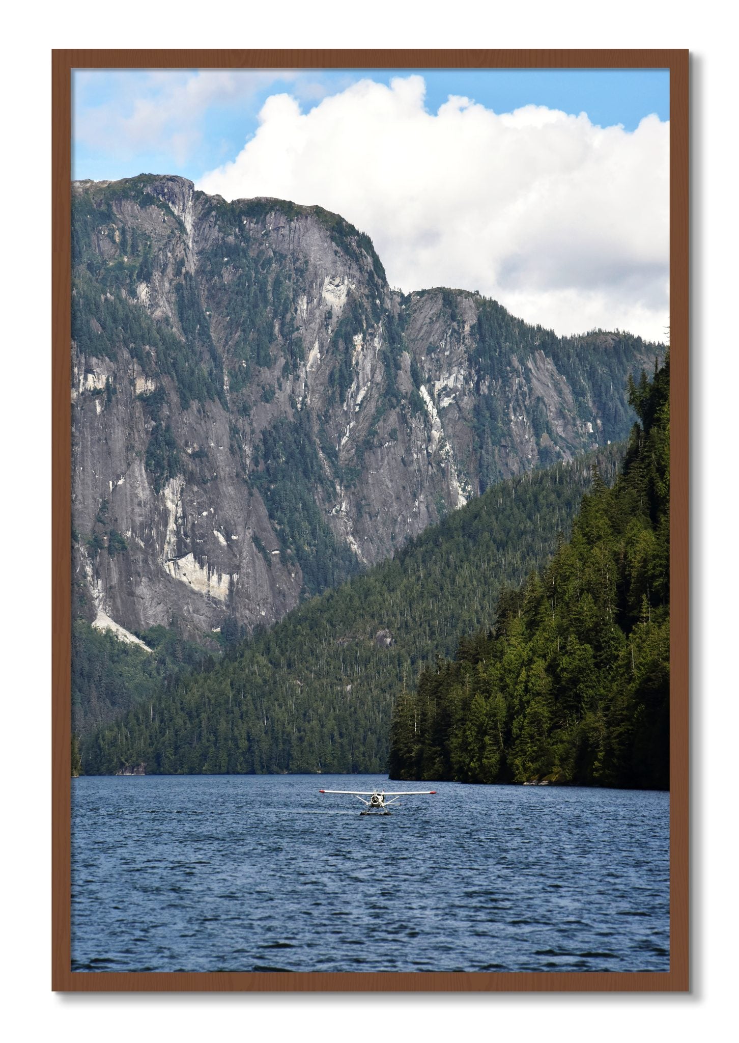Framed photograph of Fjord Flight by Dylan Ozanich, Walnut frame, Full Bleed