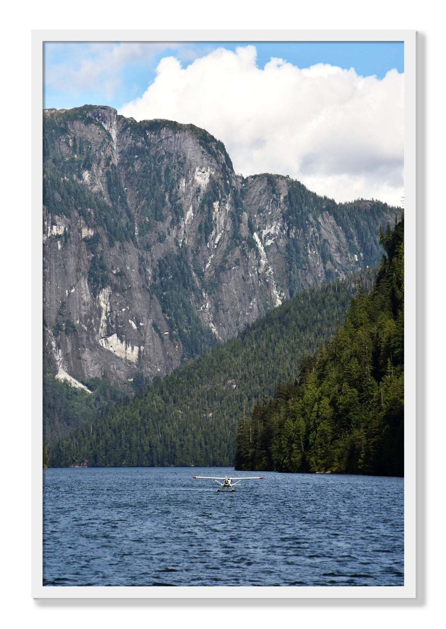 Framed photograph of Fjord Flight by Dylan Ozanich, White frame, Full Bleed