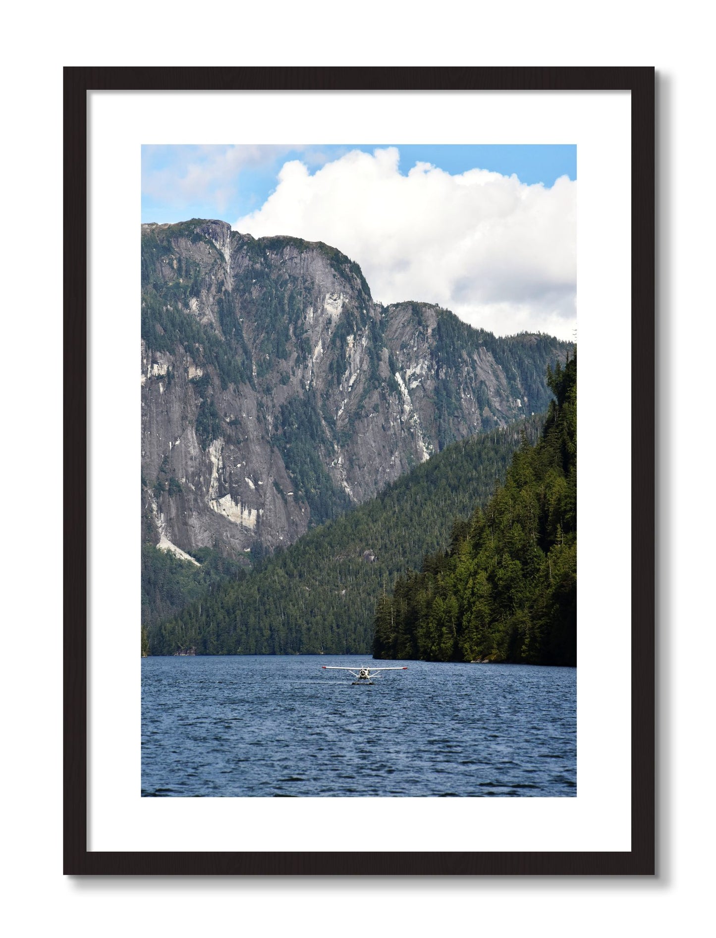 Framed photograph of Fjord Flight by Dylan Ozanich, Black frame, Borders