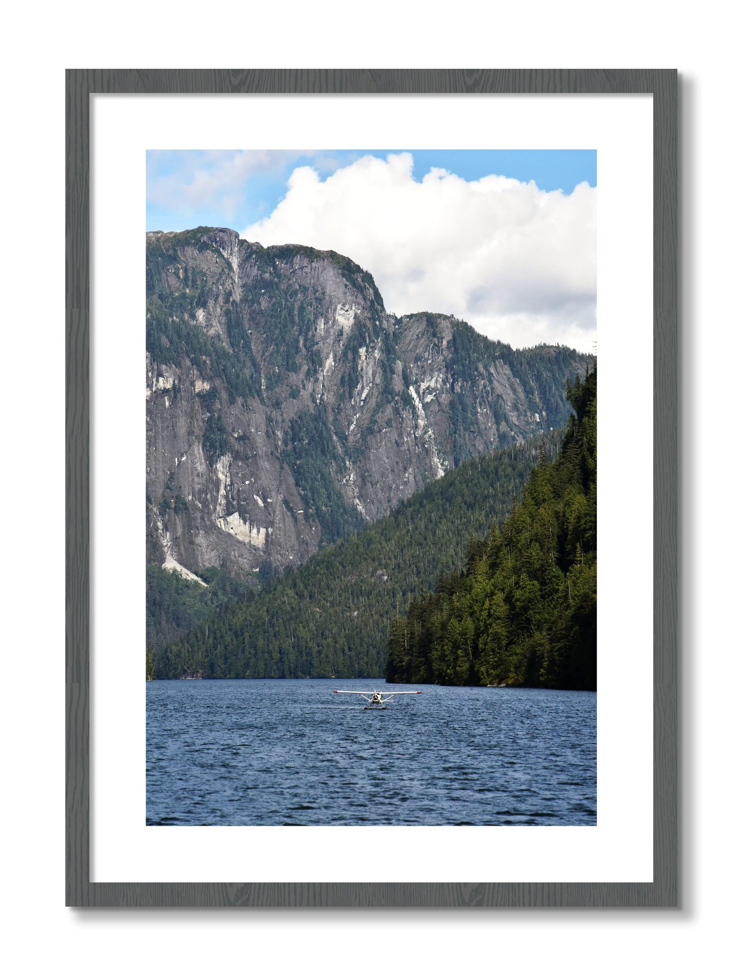 Framed photograph of Fjord Flight by Dylan Ozanich, Grey frame, Borders