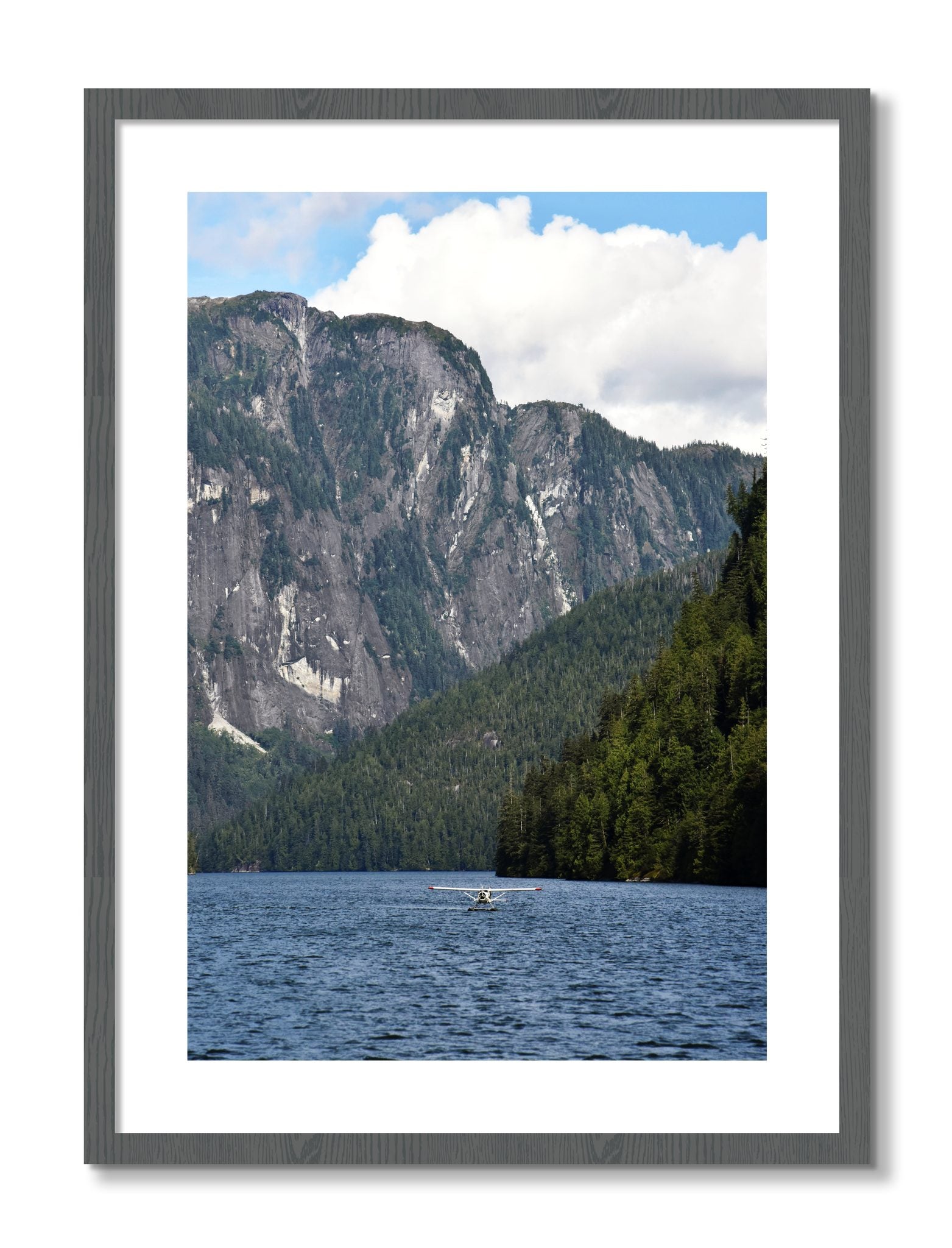 Framed photograph of Fjord Flight by Dylan Ozanich, Grey frame, Borders