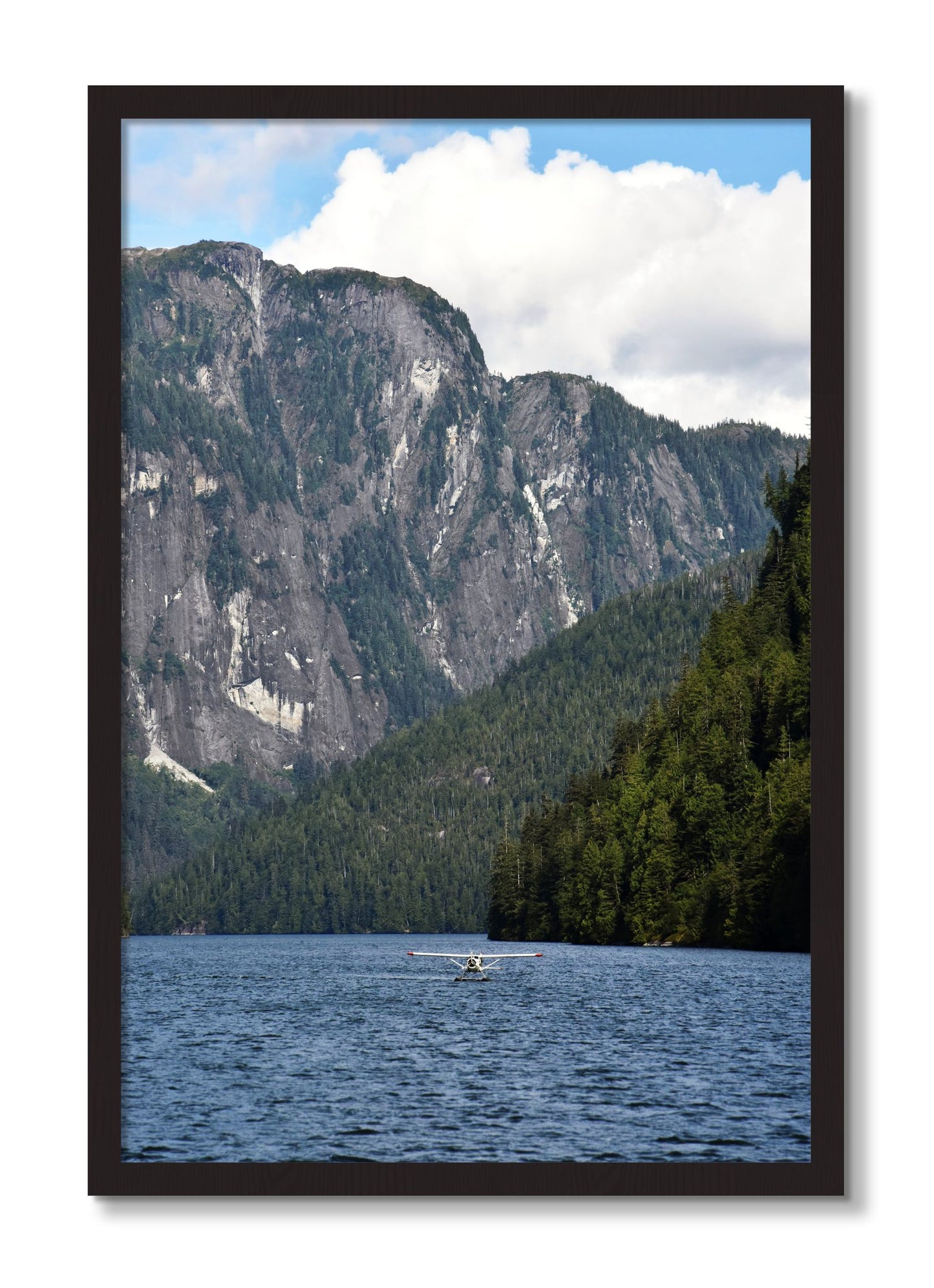 Framed photograph of Fjord Flight by Dylan Ozanich, Black Walnut frame, Full Bleed