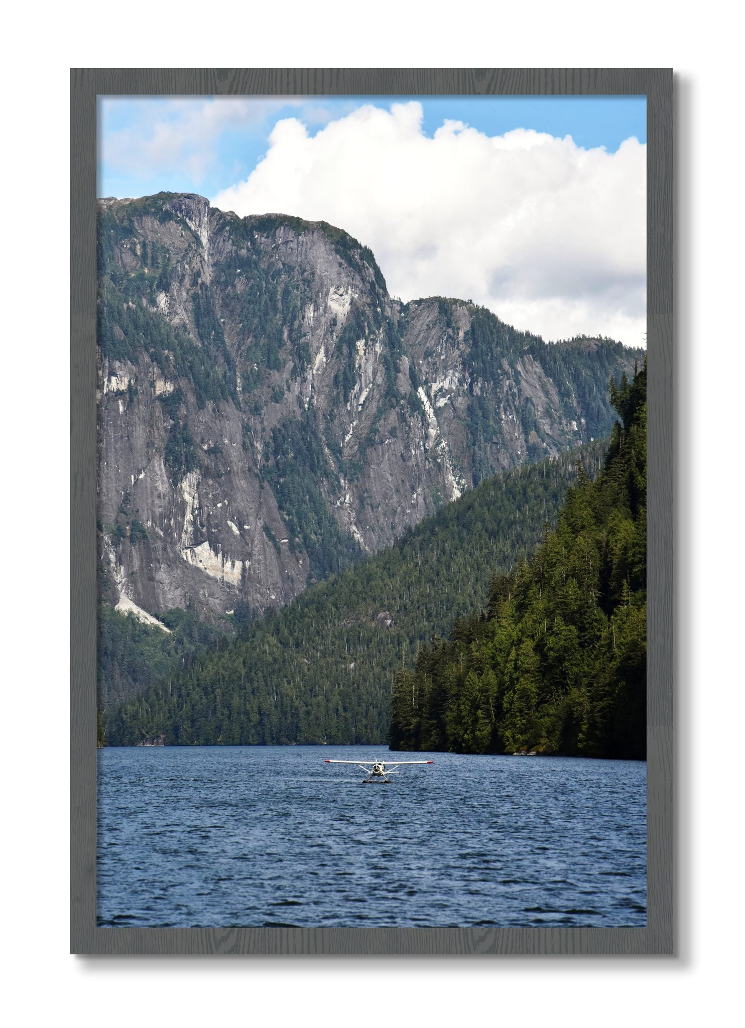 Framed photograph of Fjord Flight by Dylan Ozanich, Grey frame, Full Bleed