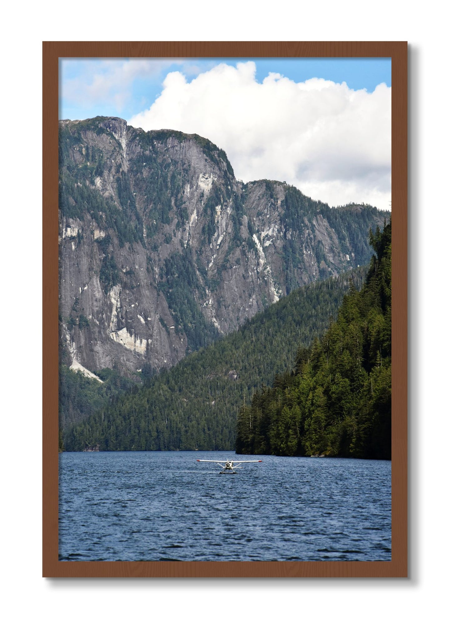 Framed photograph of Fjord Flight by Dylan Ozanich, Walnut frame, Full Bleed