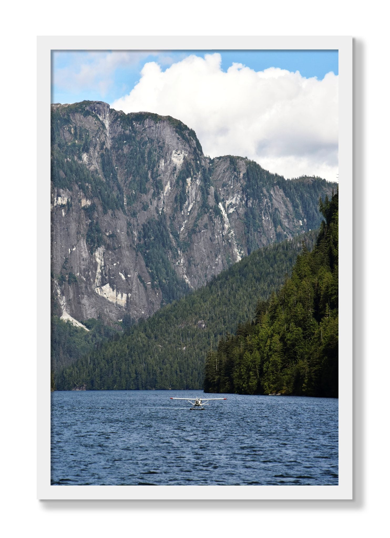 Framed photograph of Fjord Flight by Dylan Ozanich, White frame, Full Bleed