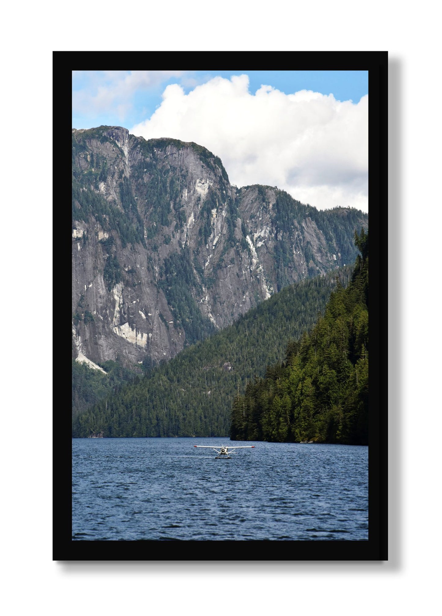 Framed photograph of Fjord Flight by Dylan Ozanich, Black frame, Full Bleed