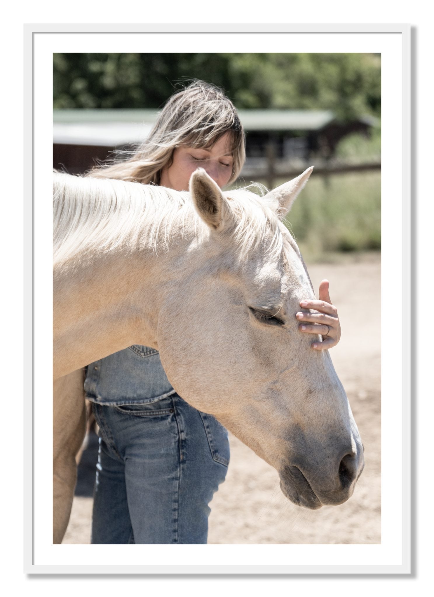 Framed photograph of Gentle Touch by Dylan Ozanich, White frame, Borders