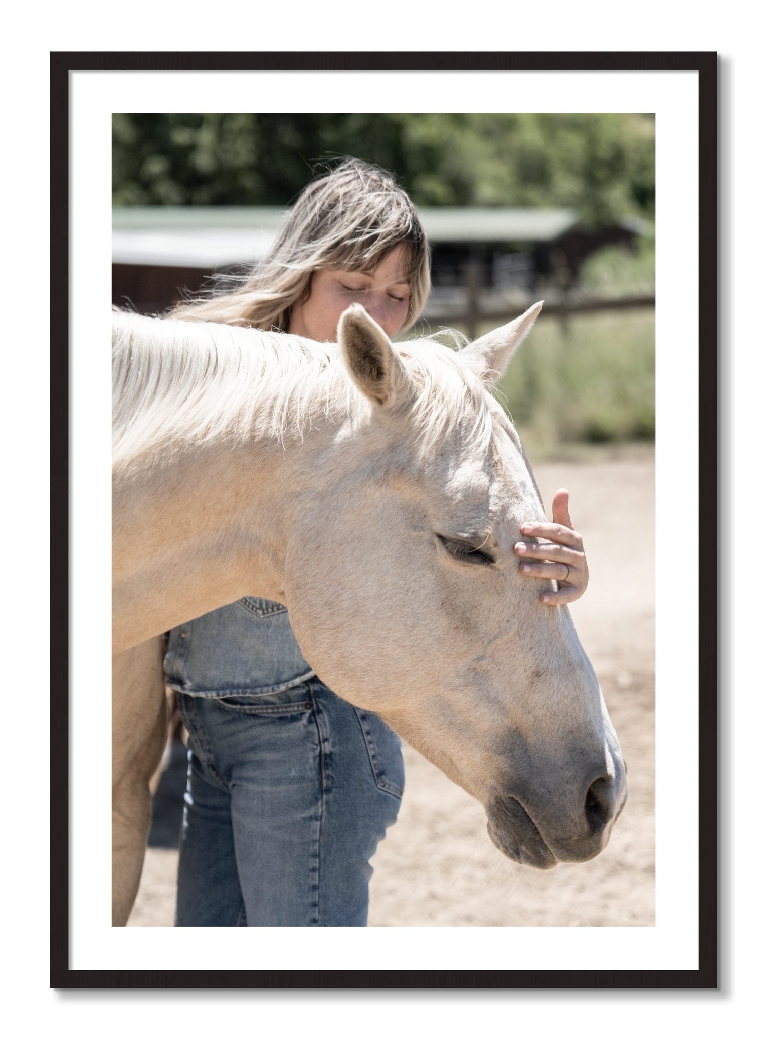 Framed photograph of Gentle Touch by Dylan Ozanich, Black Walnut frame, Borders