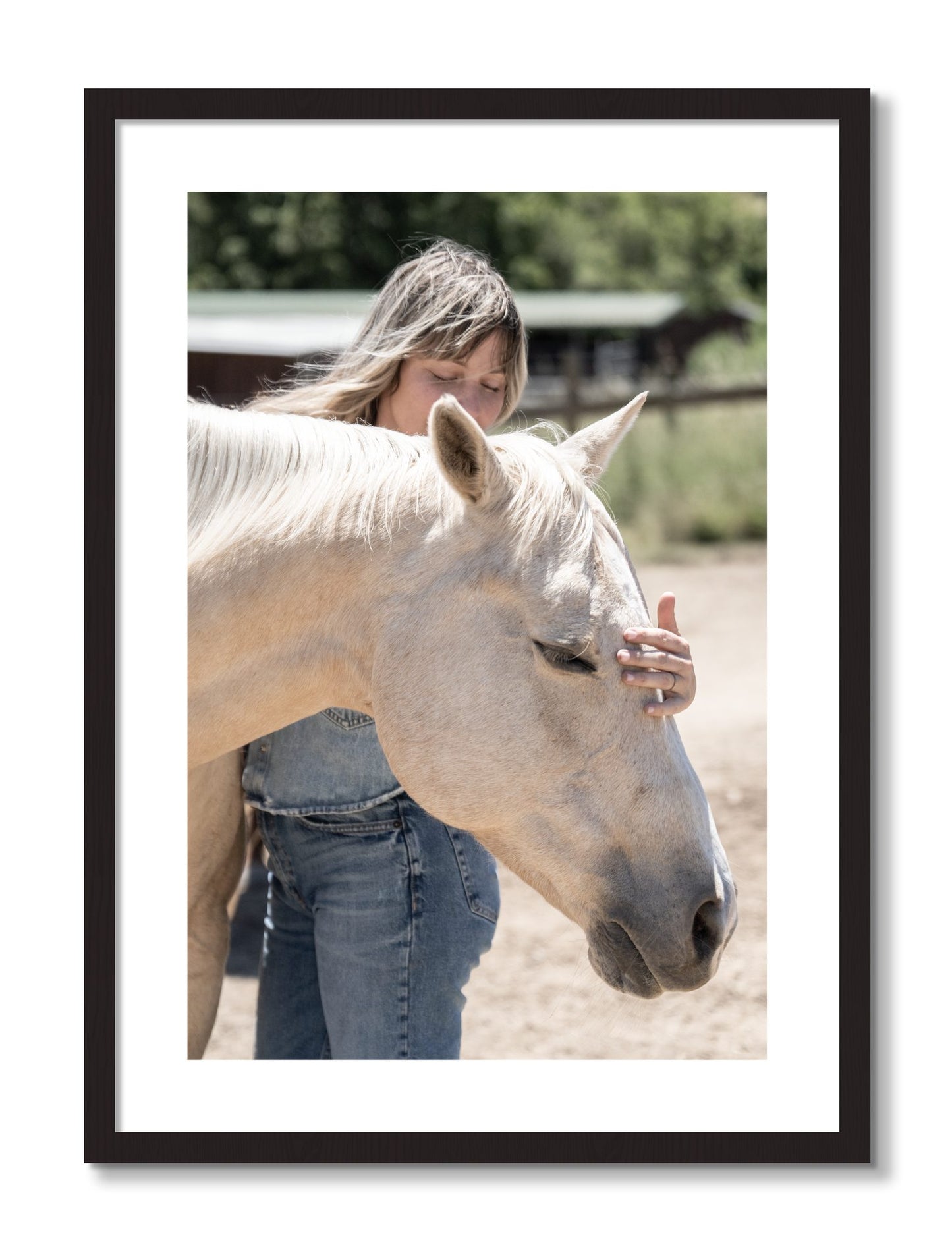 Framed photograph of Gentle Touch by Dylan Ozanich, Black Walnut frame, Borders
