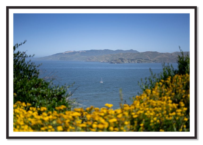 Golden Bay by Dylan Ozanich, 48×72 print with a White Border in a Black Walnut frame