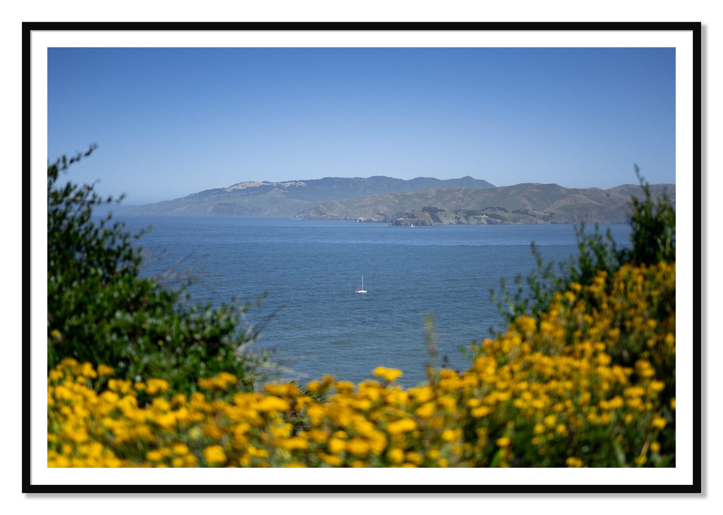 Golden Bay by Dylan Ozanich, 48×72 print with a White Border in a Black frame