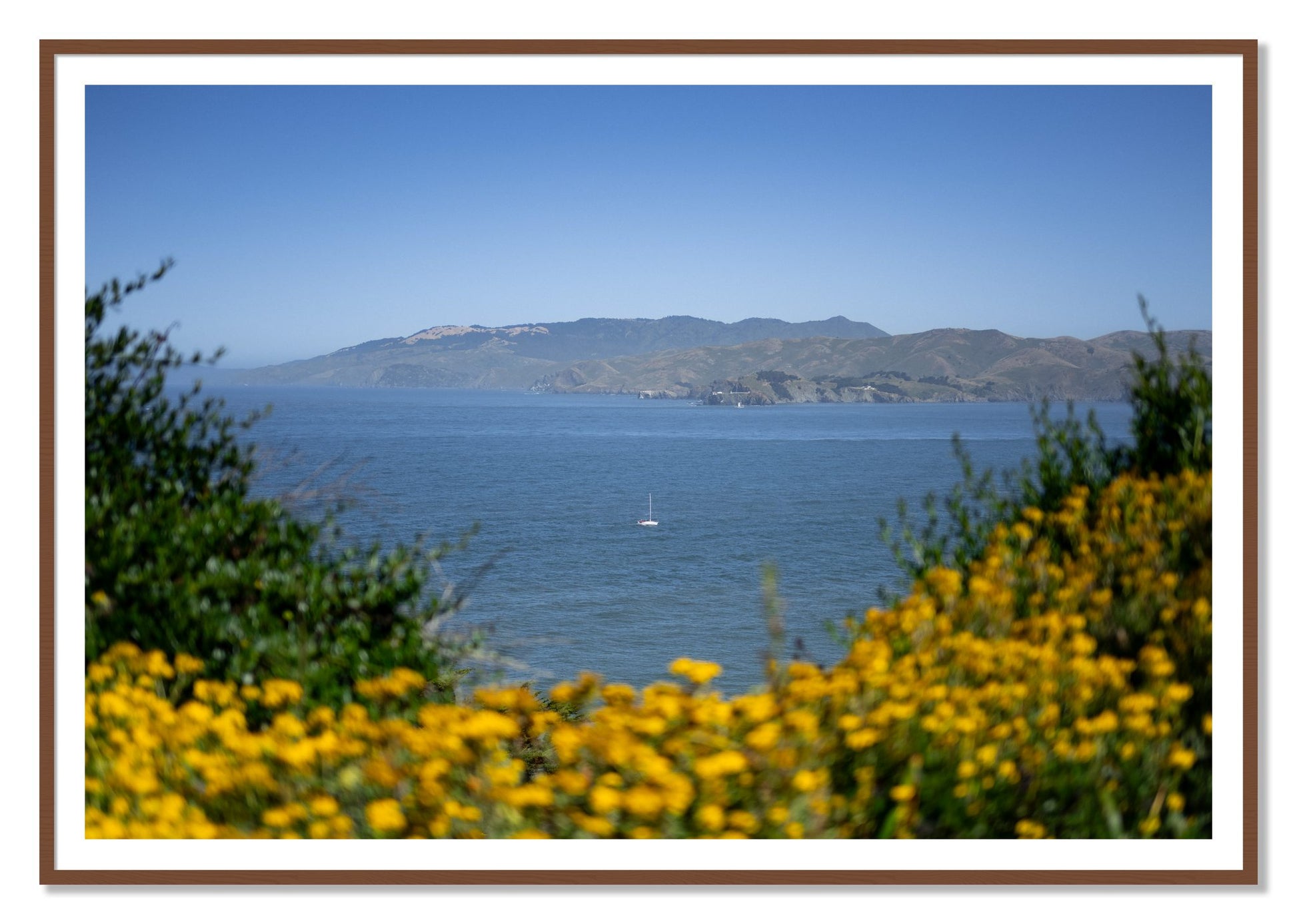 Golden Bay by Dylan Ozanich, 48×72 print with a White Border in a Walnut frame
