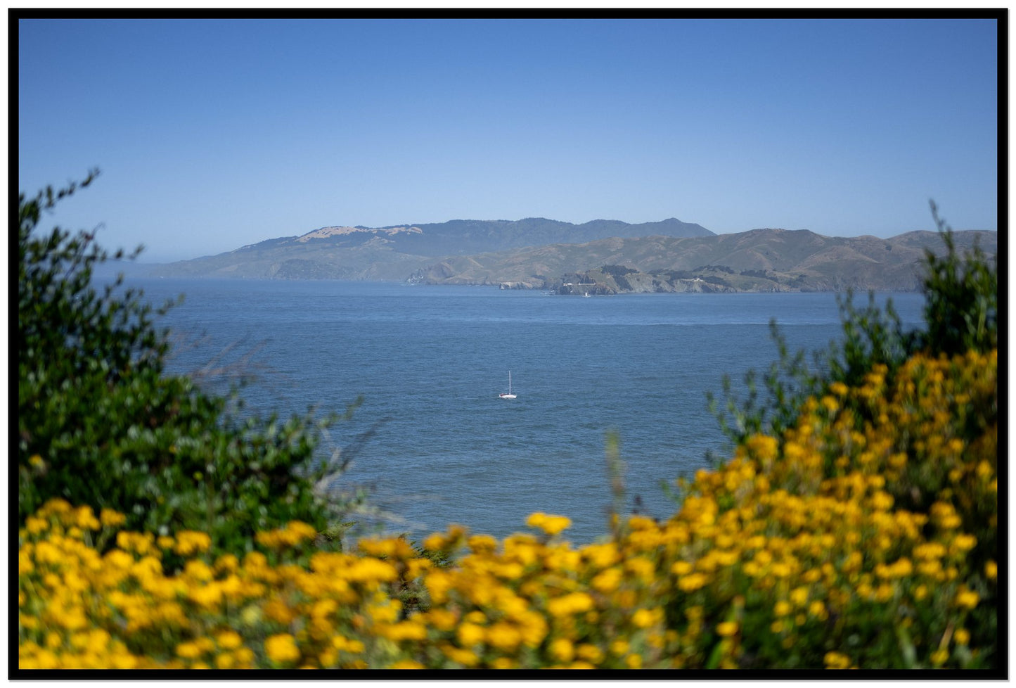 Golden Bay by Dylan Ozanich, 48×72 Full Bleed Print in a Black frame