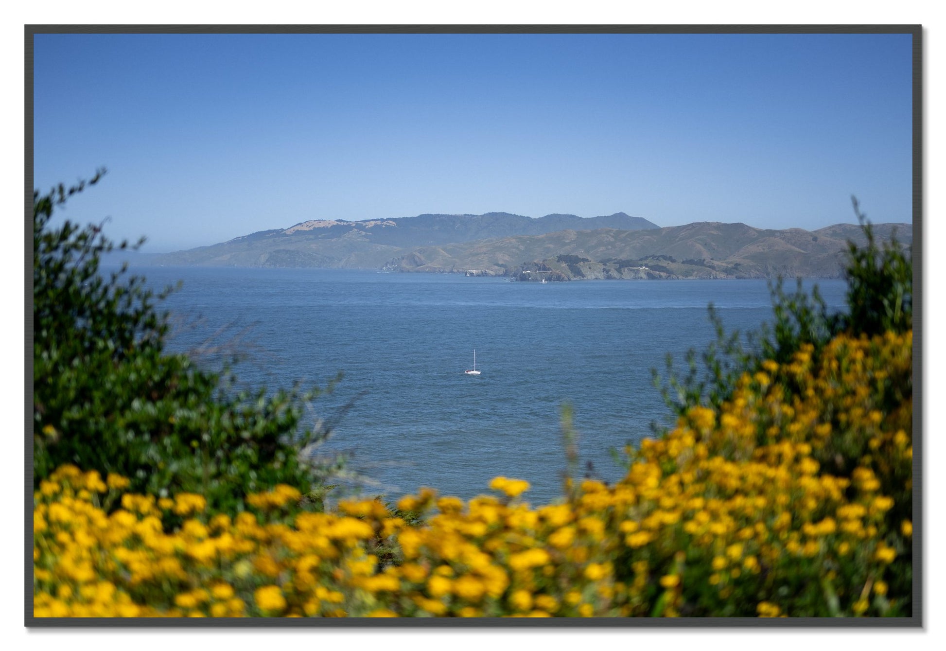 Golden Bay by Dylan Ozanich, 48×72 Full Bleed Print in a Grey frame
