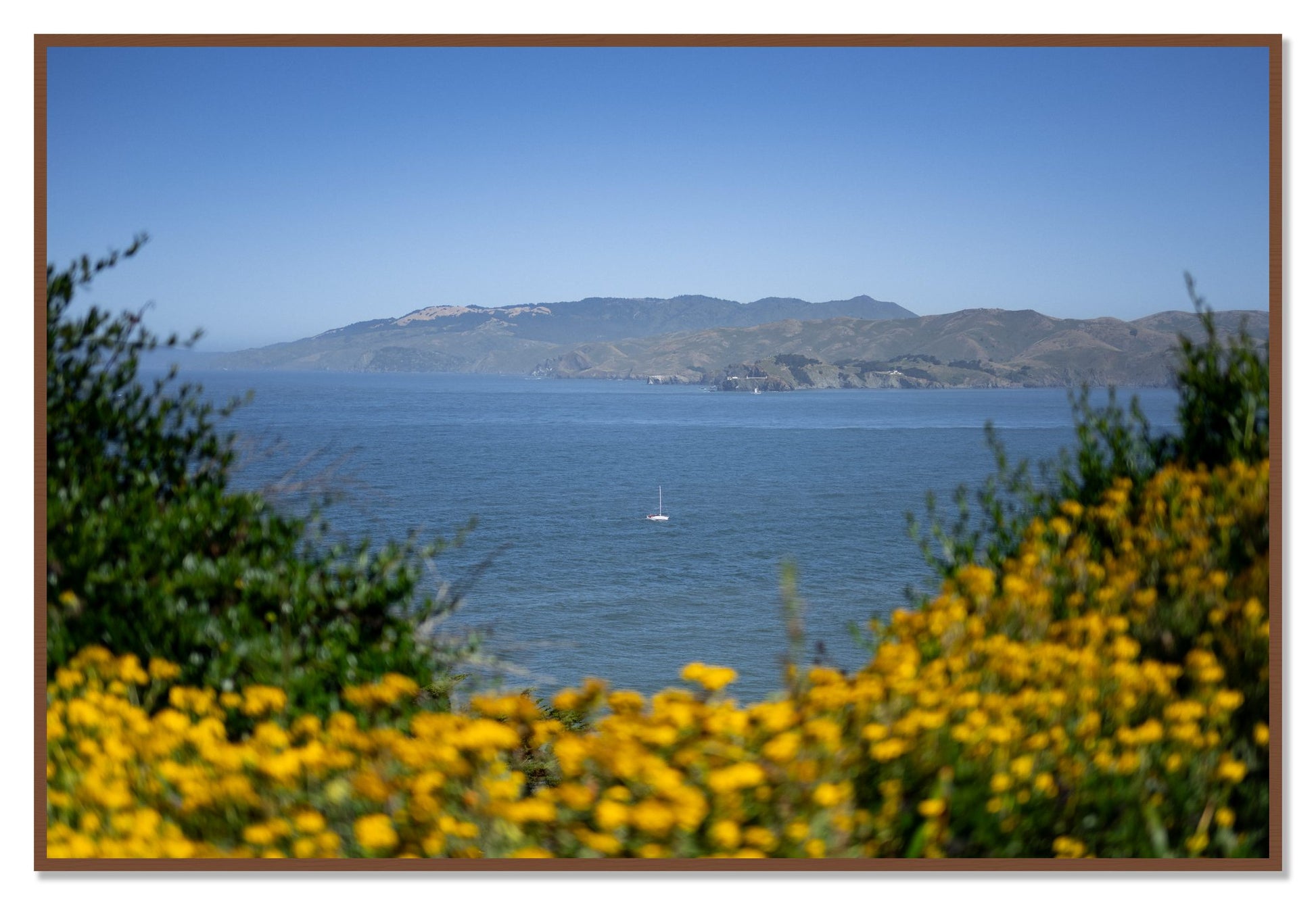 Golden Bay by Dylan Ozanich, 48×72 Full Bleed Print in a Walnut frame