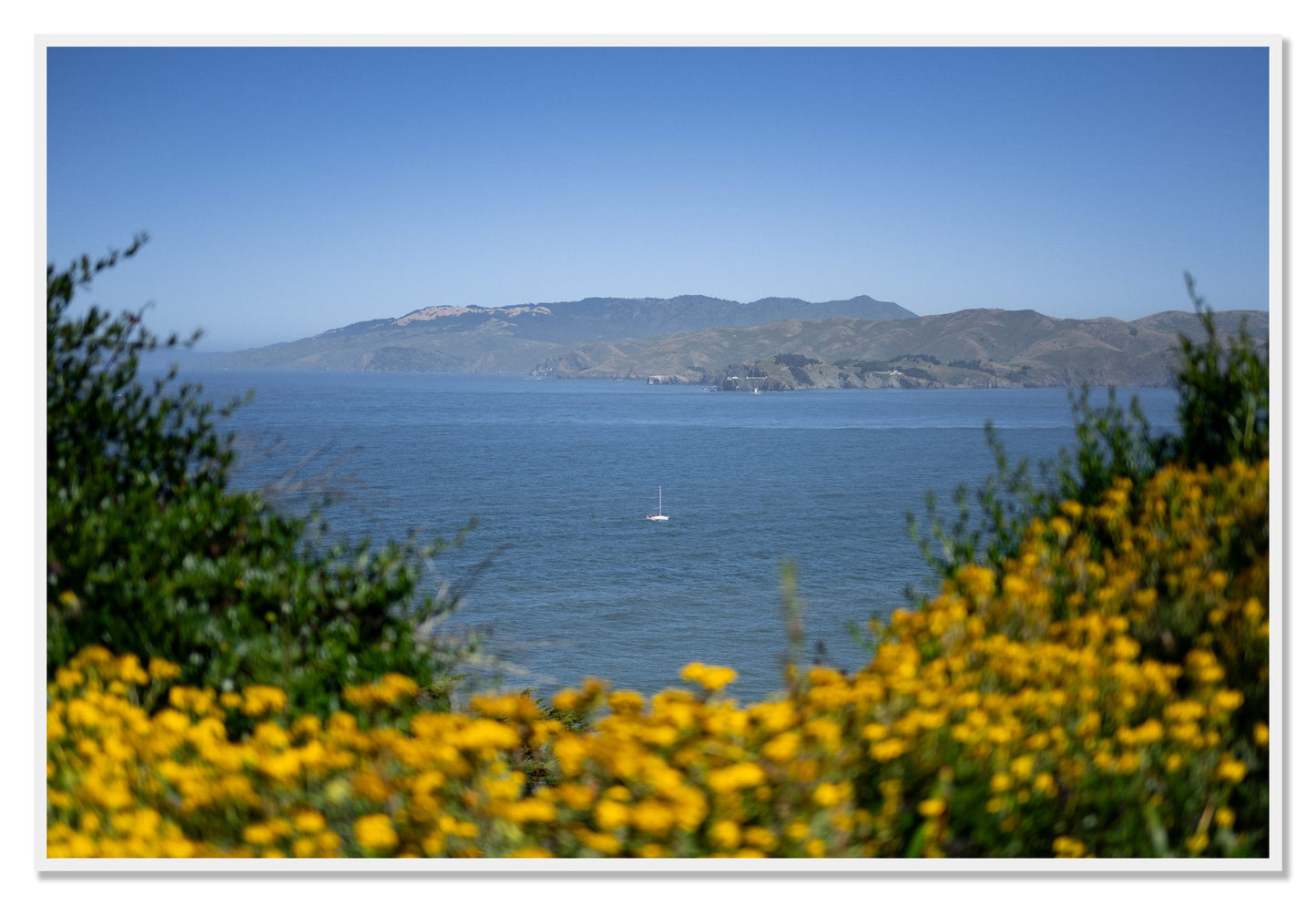 Golden Bay by Dylan Ozanich, 48×72 Full Bleed Print in a White frame