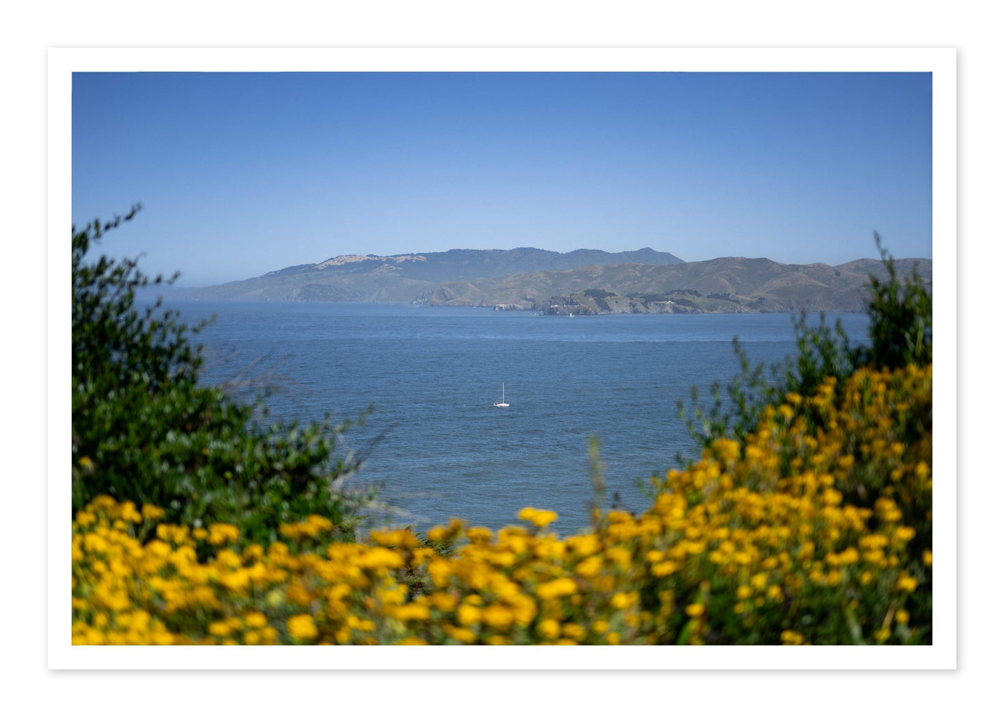Golden Bay by Dylan Ozanich, 48×72 Fine Art Pigment Print on Hahnemühle Cotton Rag Paper, unframed