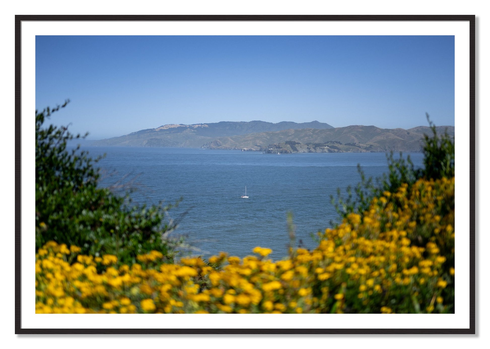Framed photograph of Golden Bay by Dylan Ozanich, Black Walnut frame, Borders
