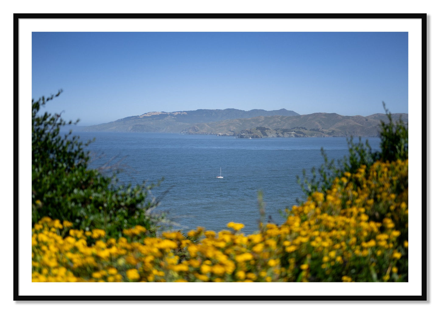 Framed photograph of Golden Bay by Dylan Ozanich, Black frame, Borders