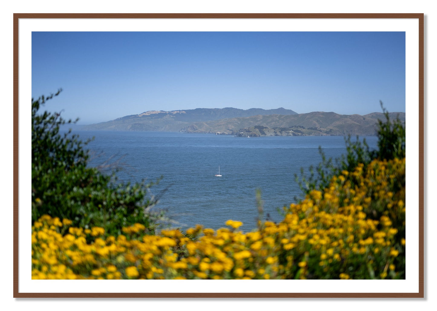 Framed photograph of Golden Bay by Dylan Ozanich, Walnut frame, Borders