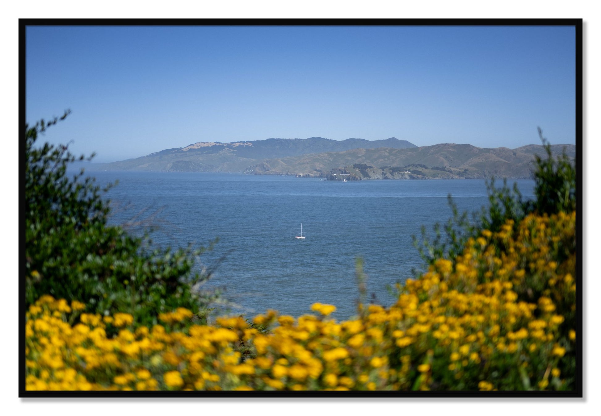 Framed photograph of Golden Bay by Dylan Ozanich, Black frame, Full Bleed