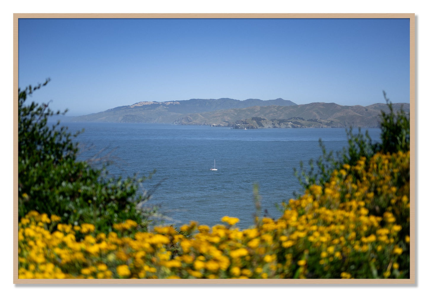 Framed photograph of Golden Bay by Dylan Ozanich, Oak frame, Full Bleed