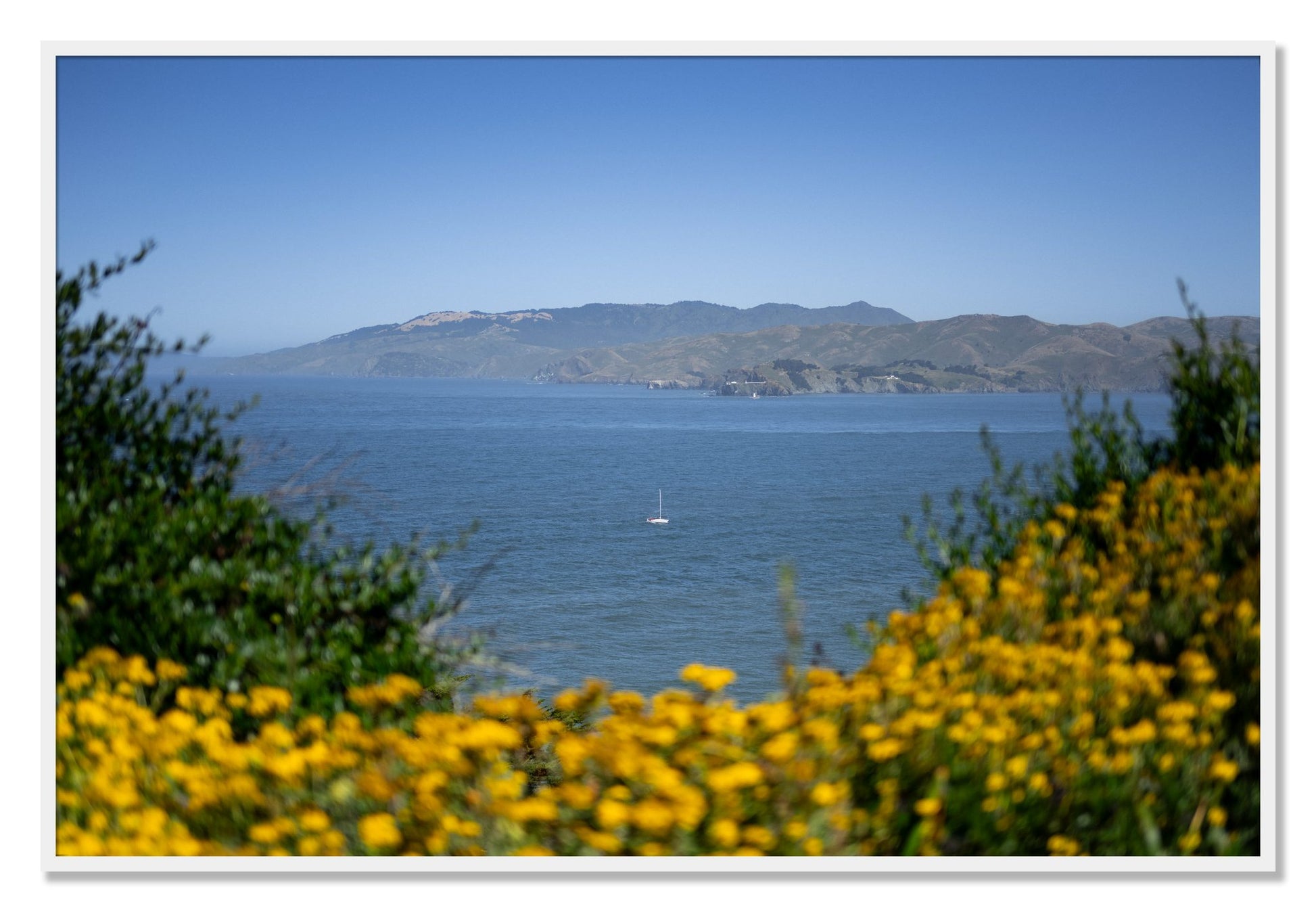 Framed photograph of Golden Bay by Dylan Ozanich, White frame, Full Bleed