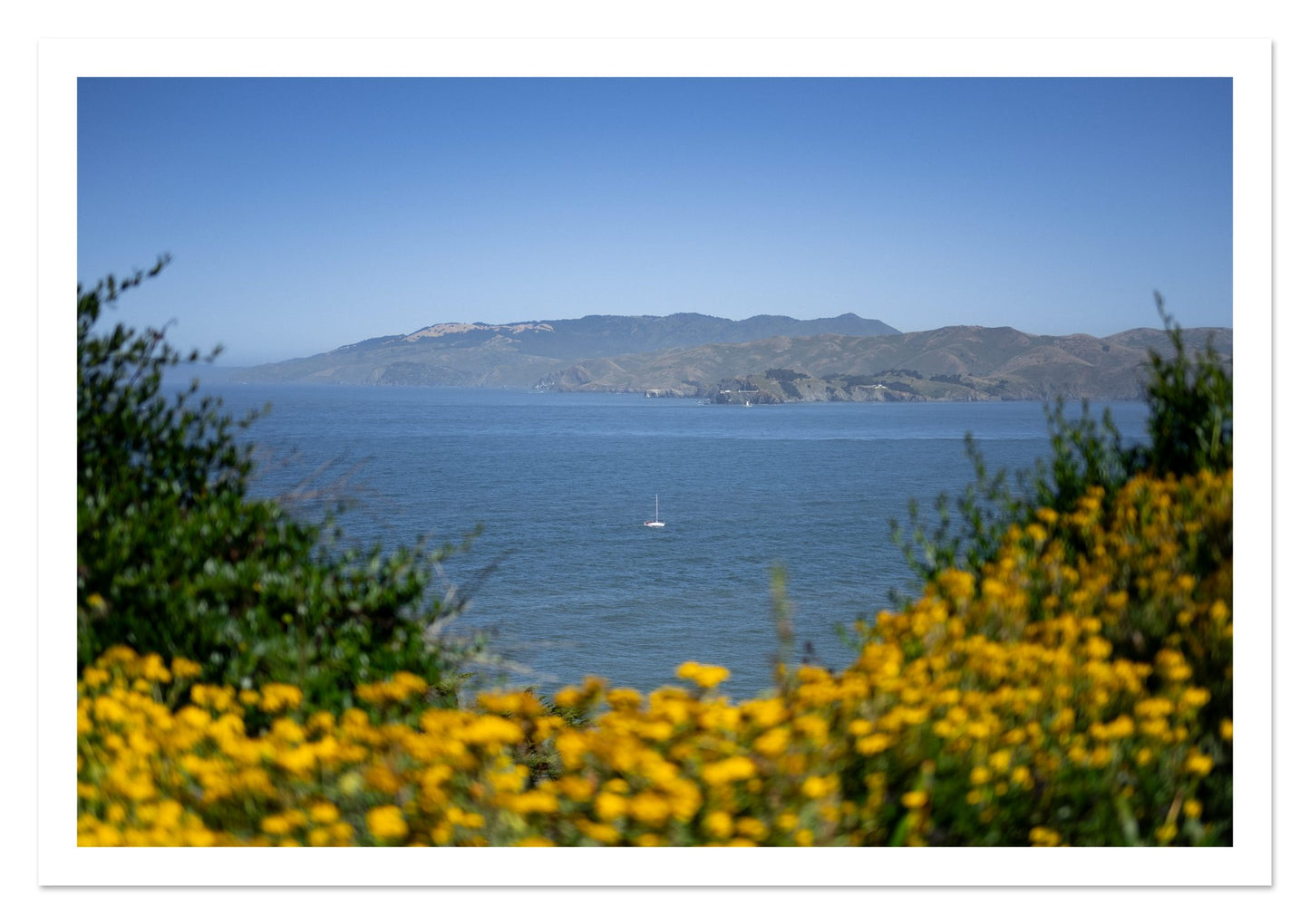 Fine art print of Golden Bay by Dylan Ozanich, unframed
