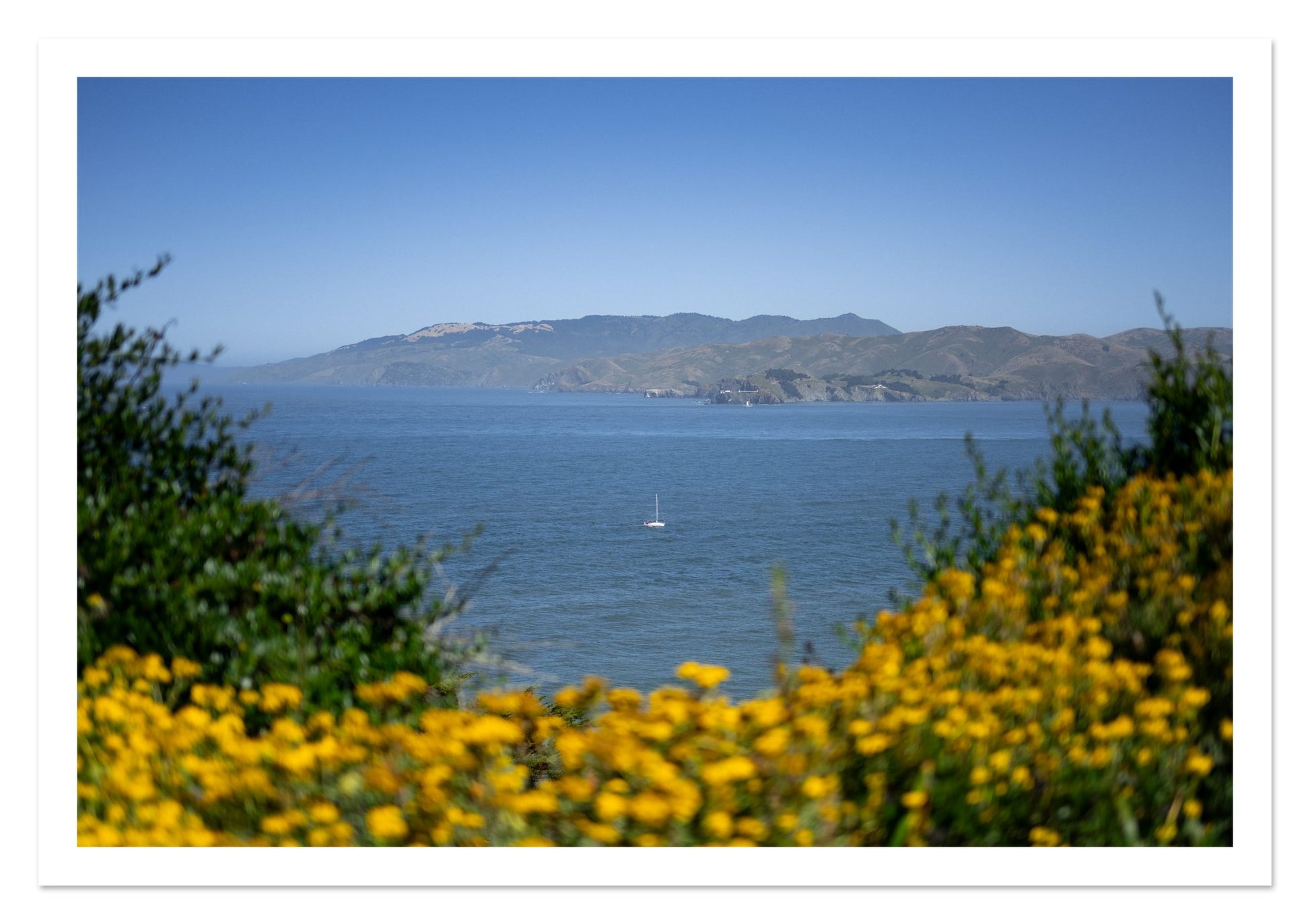 Fine art print of Golden Bay by Dylan Ozanich, unframed