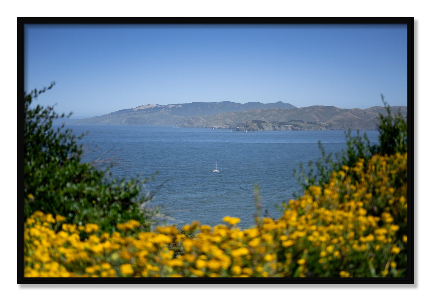 Framed photograph of Golden Bay by Dylan Ozanich, Black frame, Full Bleed