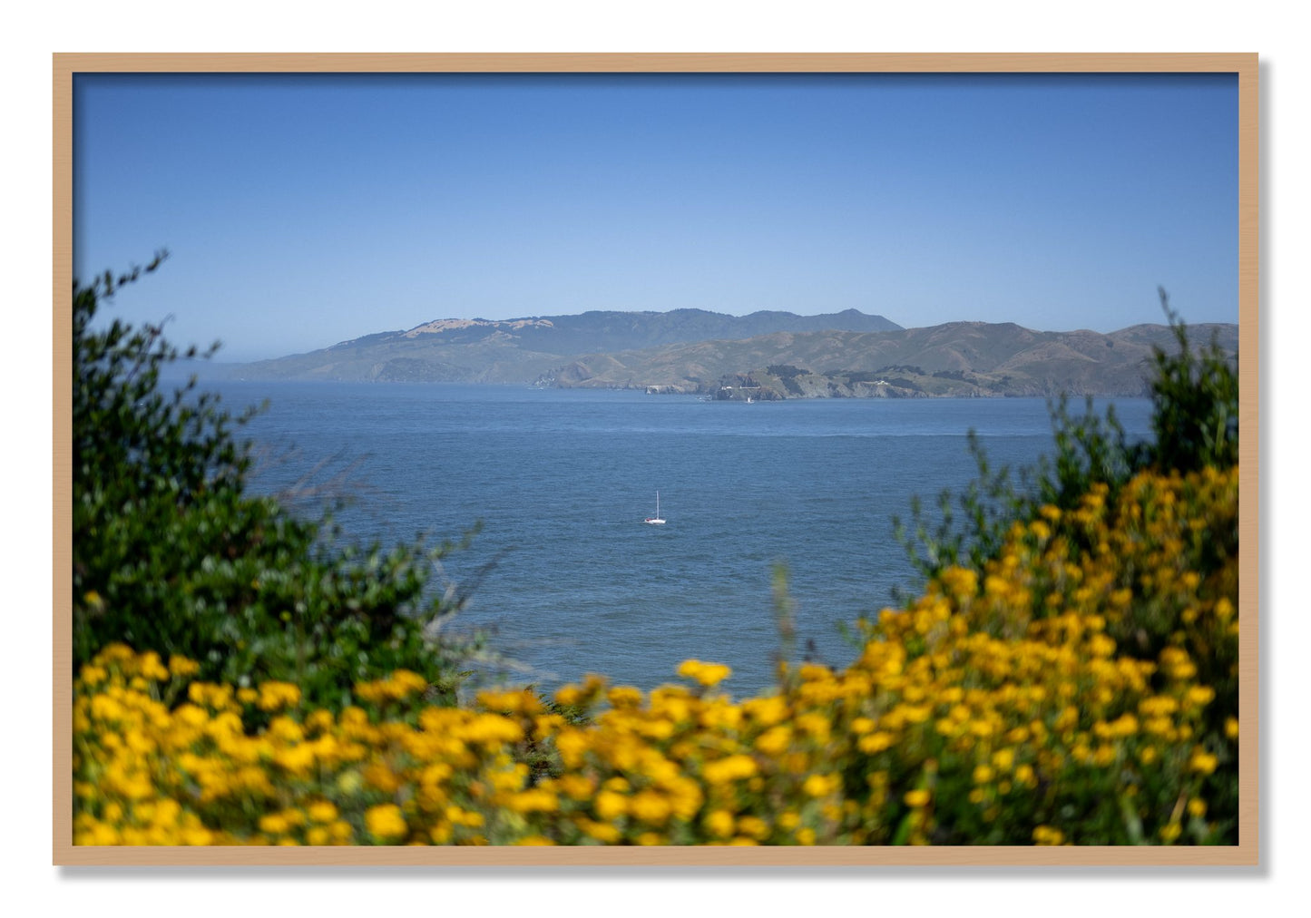 Framed photograph of Golden Bay by Dylan Ozanich, Oak frame, Full Bleed