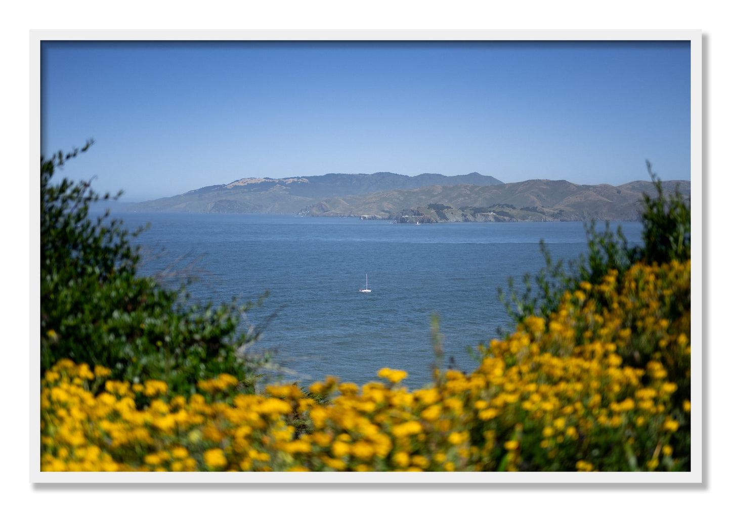 Framed photograph of Golden Bay by Dylan Ozanich, White frame, Full Bleed
