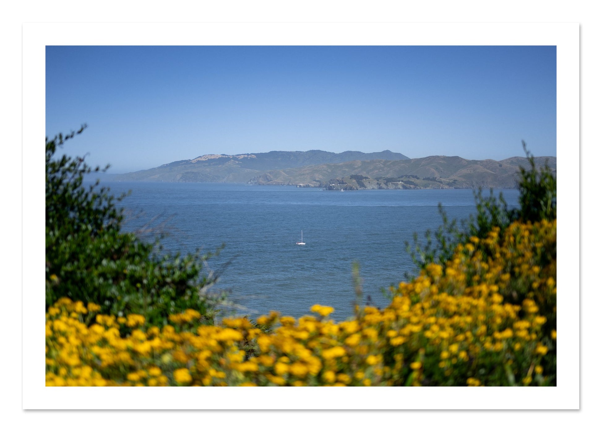 Fine art print of Golden Bay by Dylan Ozanich, unframed