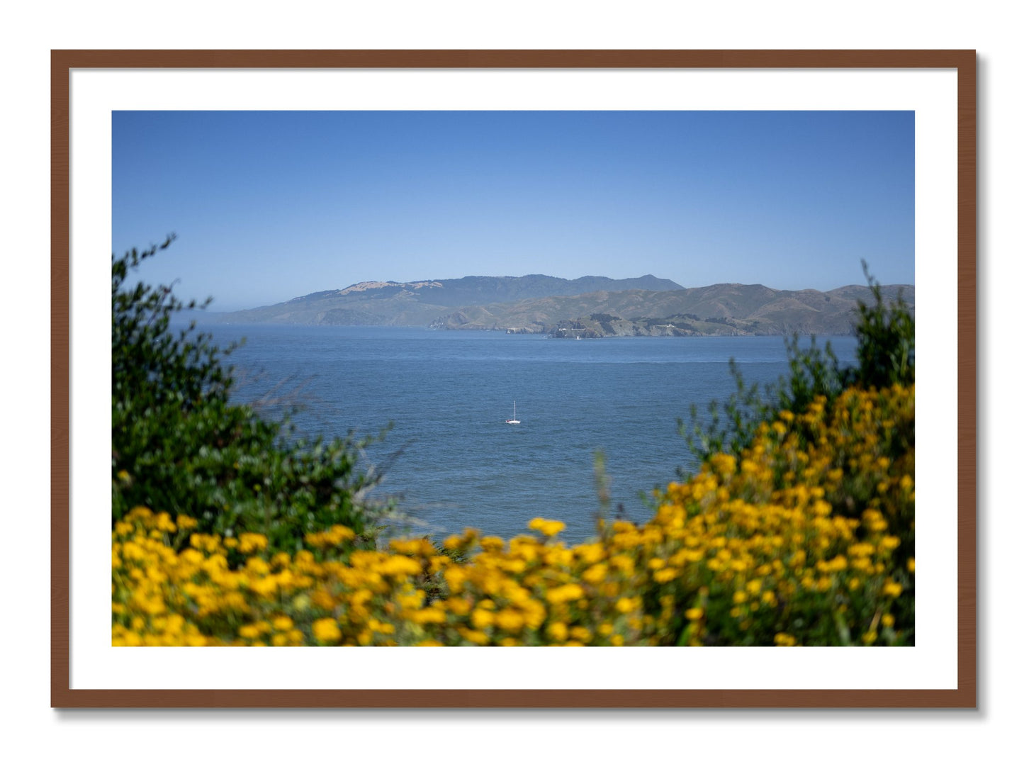 Framed photograph of Golden Bay by Dylan Ozanich, Walnut frame, Borders