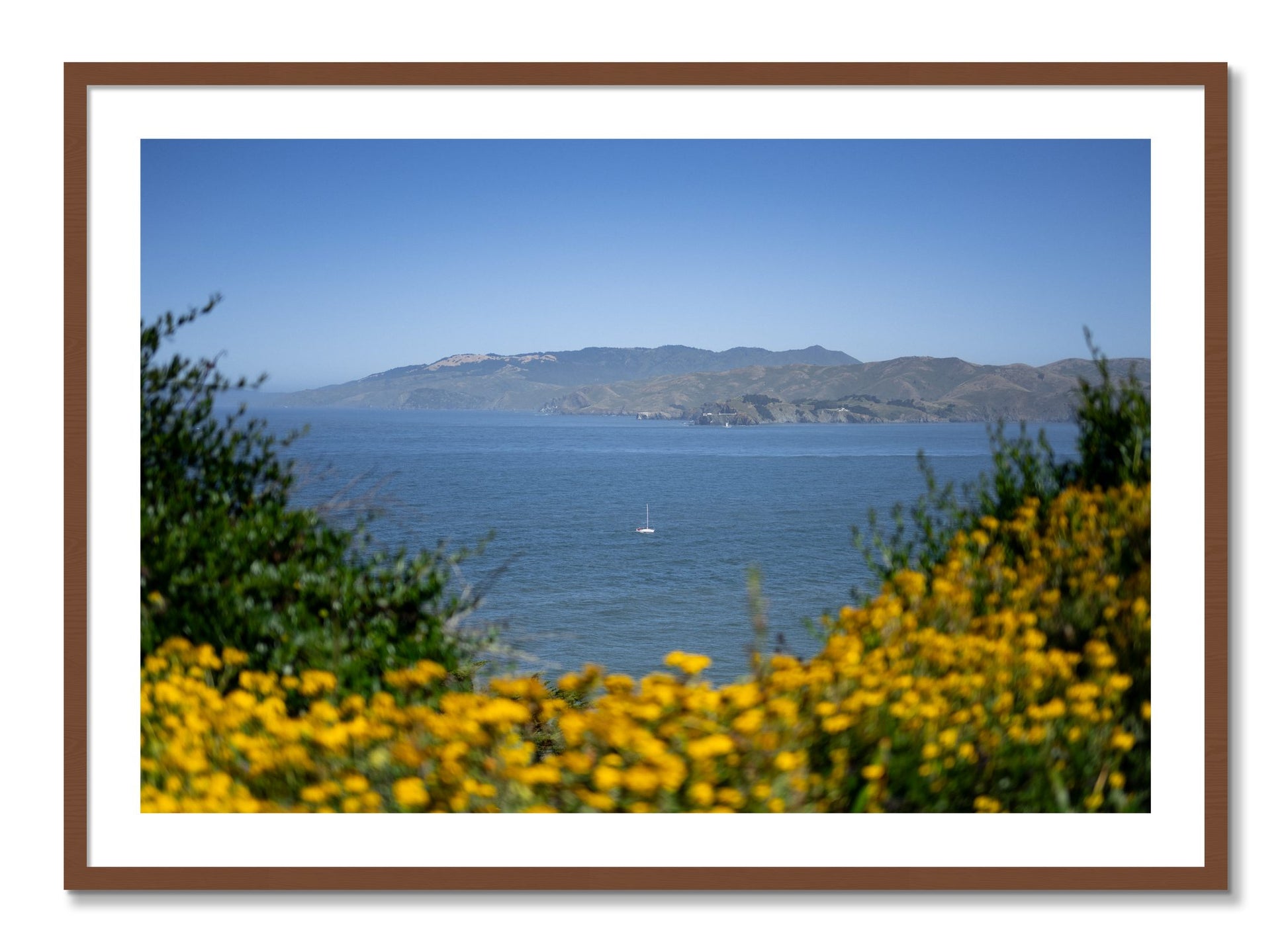 Framed photograph of Golden Bay by Dylan Ozanich, Walnut frame, Borders