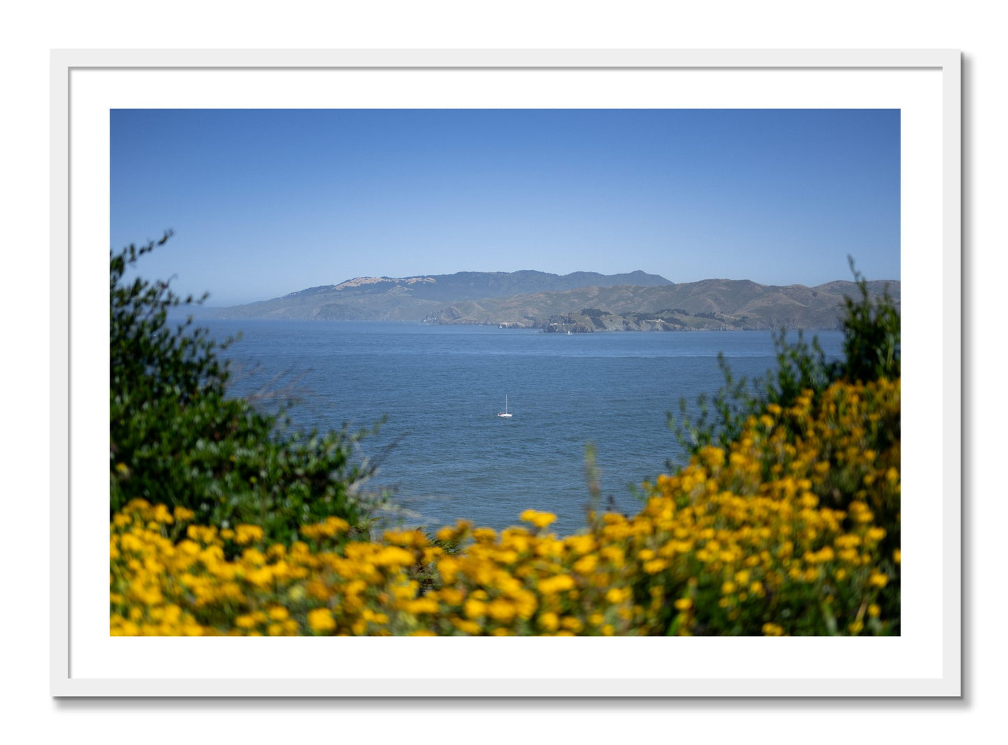 Framed photograph of Golden Bay by Dylan Ozanich, White frame, Borders
