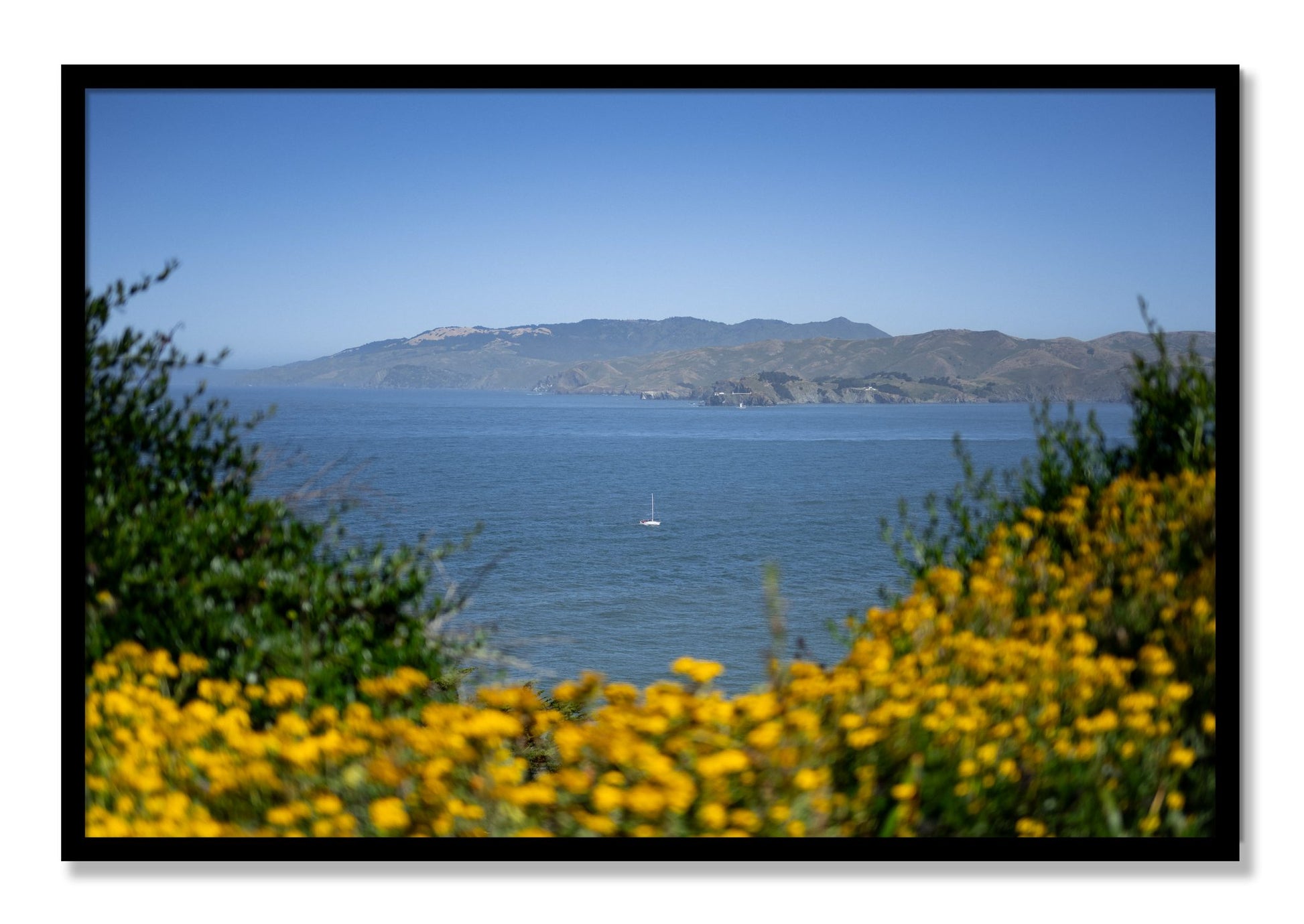 Framed photograph of Golden Bay by Dylan Ozanich, Black frame, Full Bleed