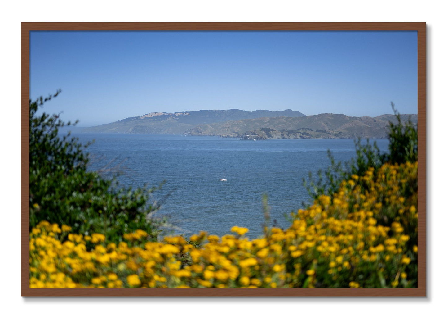 Framed photograph of Golden Bay by Dylan Ozanich, Walnut frame, Full Bleed