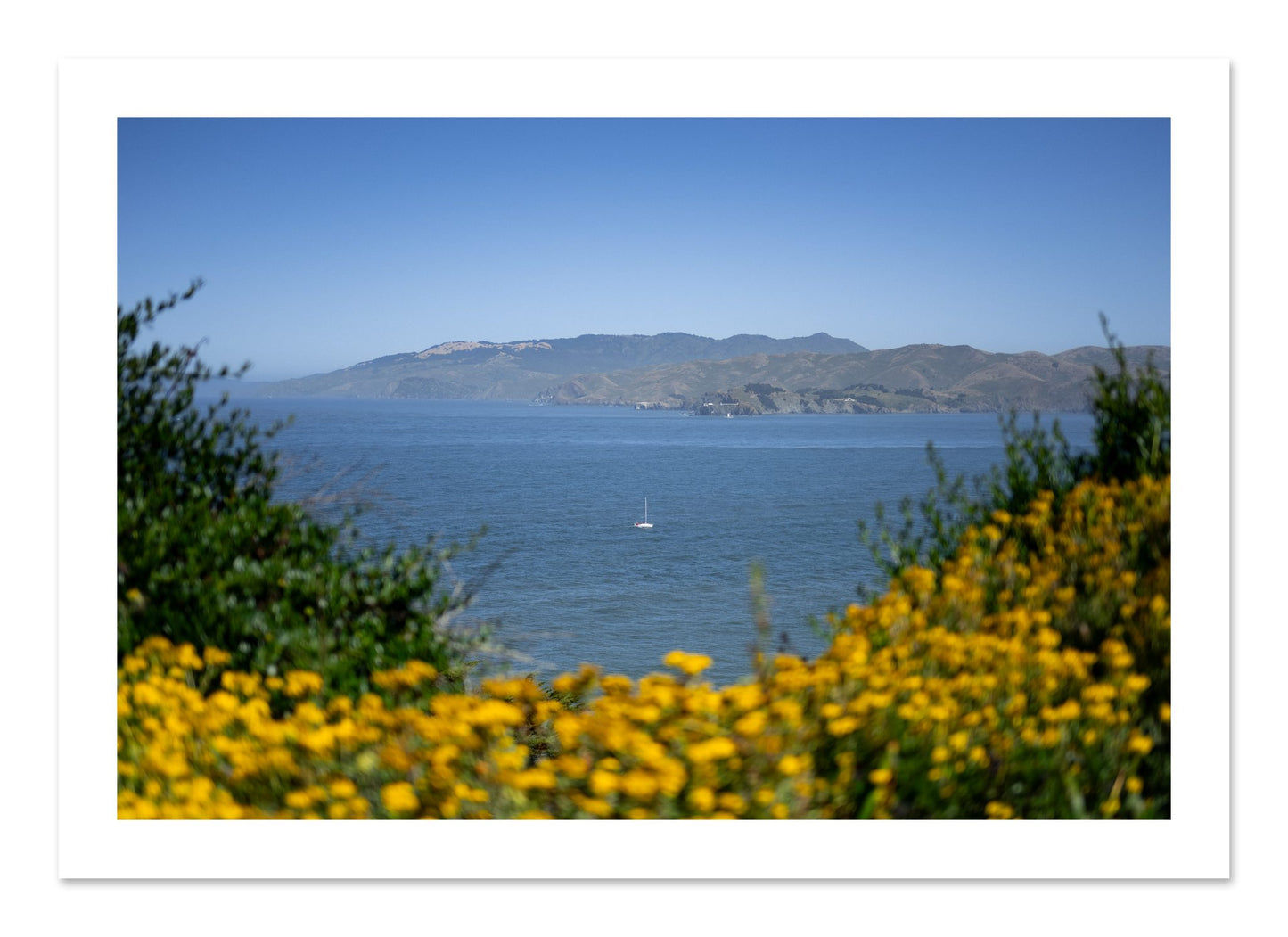 Fine art print of Golden Bay by Dylan Ozanich, unframed