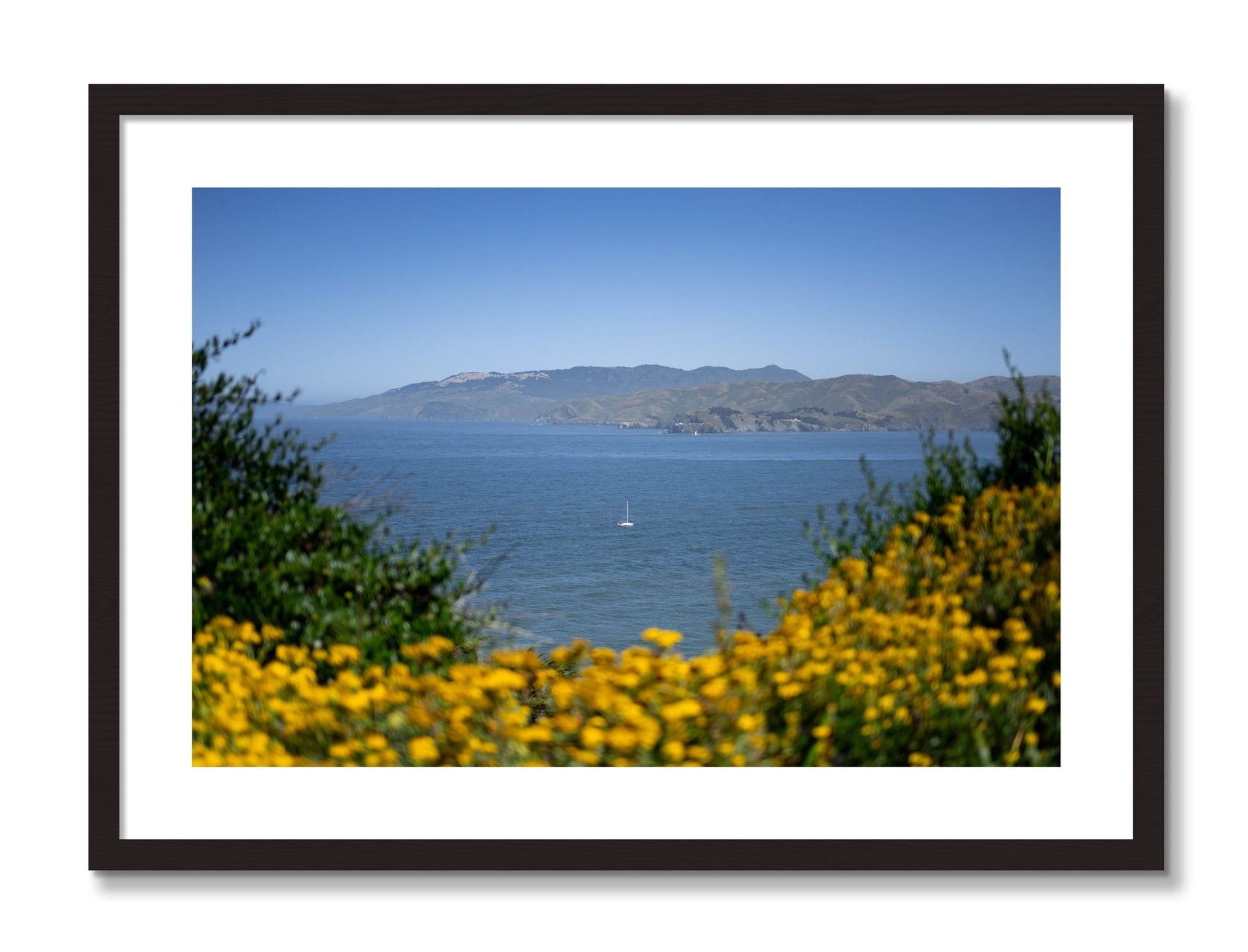 Framed photograph of Golden Bay by Dylan Ozanich, Black Walnut frame, Borders